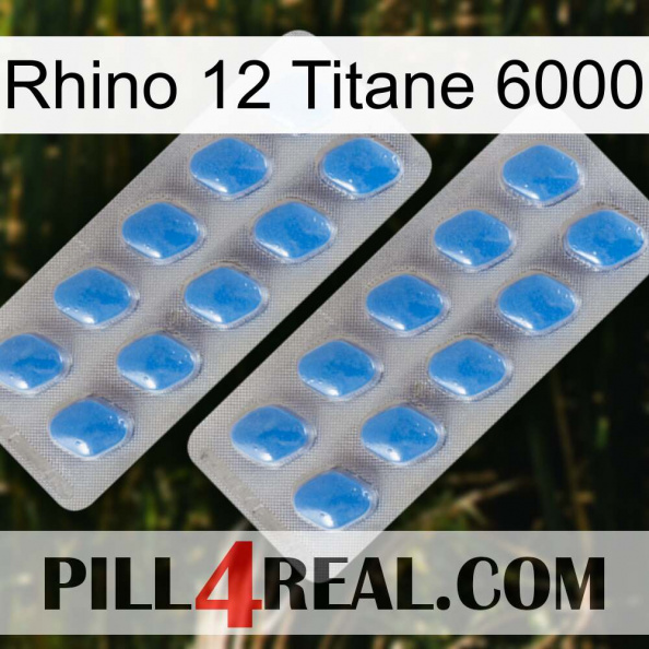 Rhino 12 Titanium 6000 23.jpg